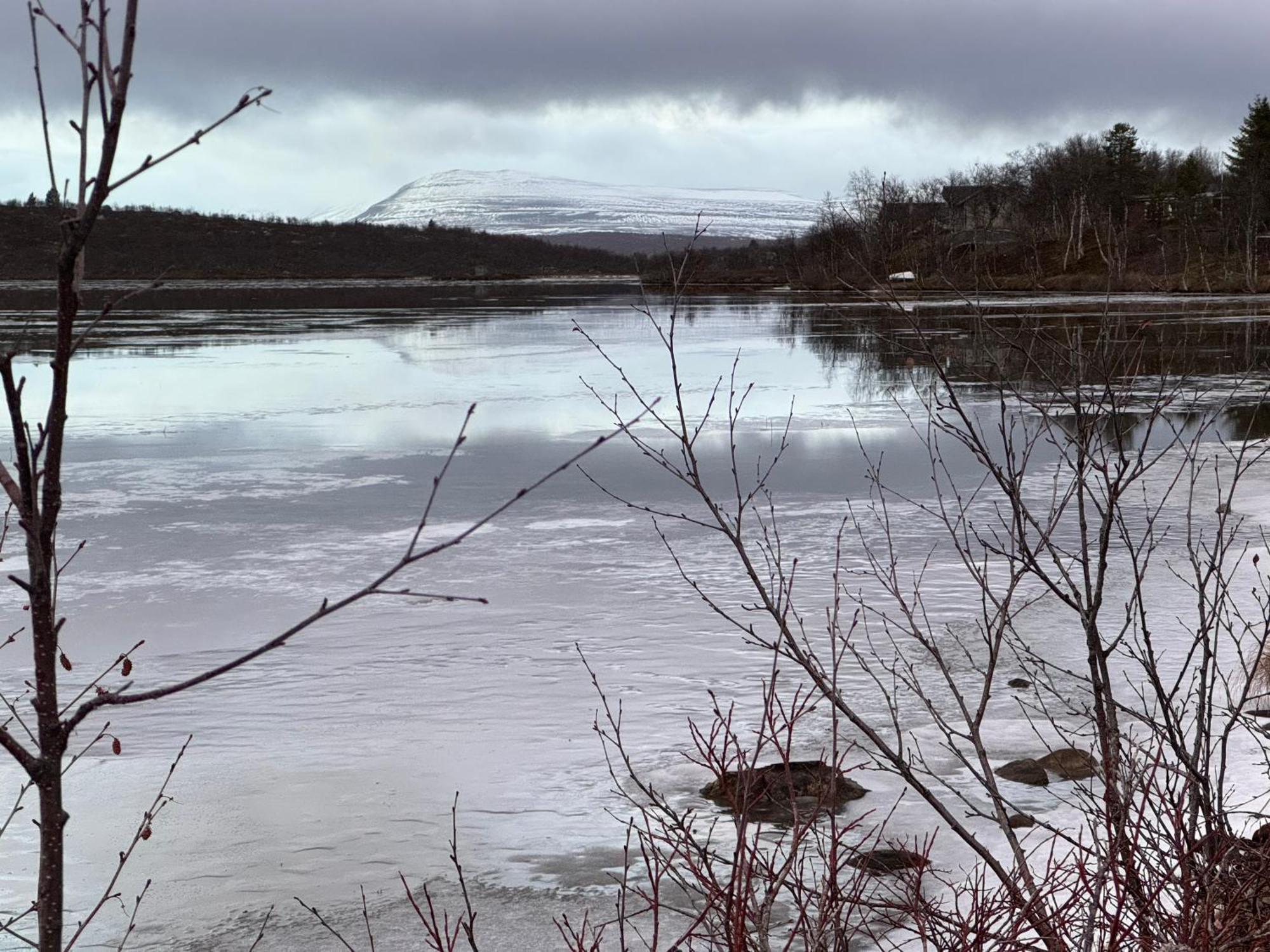 Cottage Lavkavann Finnmarksvidda Skoganvarre Luaran gambar