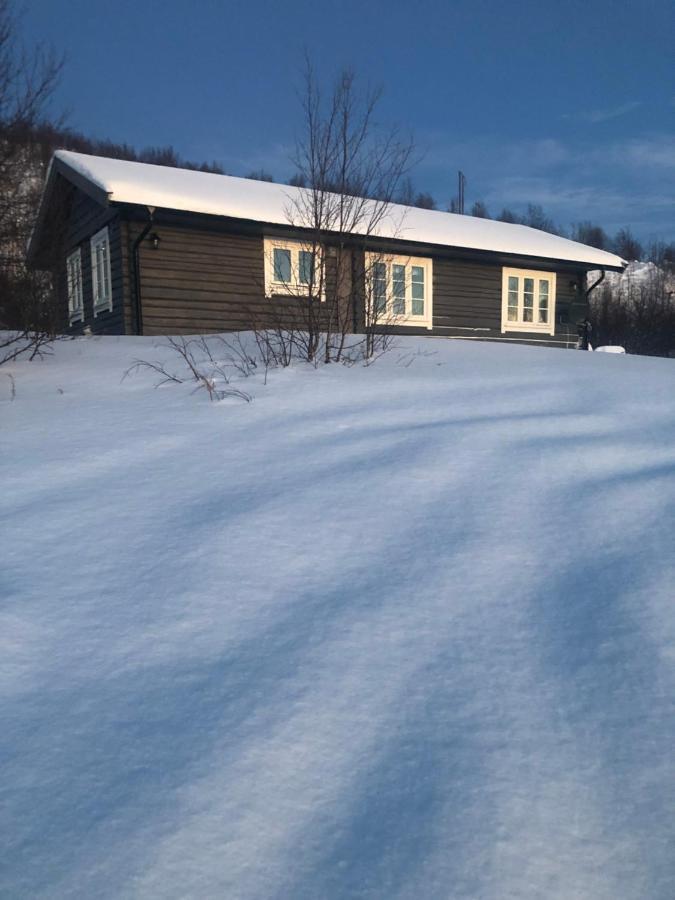 Cottage Lavkavann Finnmarksvidda Skoganvarre Luaran gambar